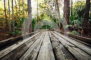 A wooden walkway