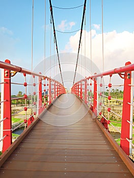 Wooden walkway