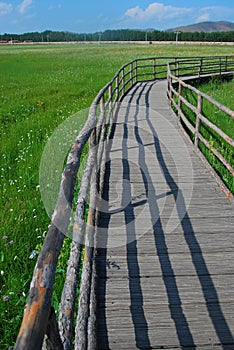 Wooden walkway