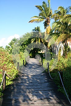 Wooden Walkway