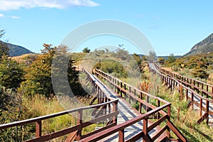 Wooden walkway