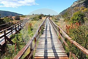 Wooden walkway