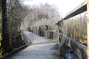 Wooden walkway across the marshes