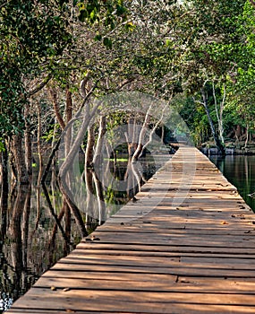 Wooden walkway at Angkor Wat Cambodia