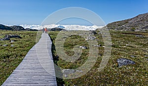 Wooden walkway through the arctic tundra  leading to the Ilulissat icefjord in Ilulissat, Greenland