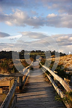 Wooden walkway from the beach