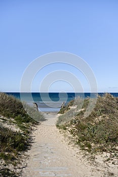 Wooden walkway in the beach dunes