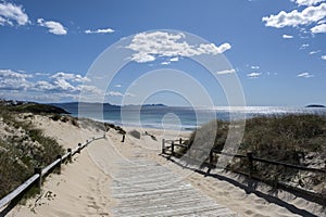 Wooden walkway in the beach dunes