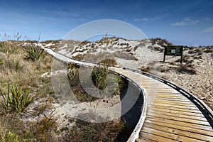 Wooden walkway by the beach at Tauparikaka Marine Reserve, , New Zealand