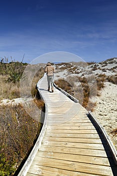 Wooden walkway by the beach at Tauparikaka Marine Reserve, , New Zealand