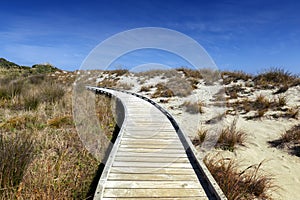 Wooden walkway by the beach at Tauparikaka Marine Reserve, , New Zealand