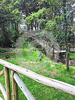 Wooden Walkway at El ParaÃÂ­so Park in Cuenca, Ecuador photo