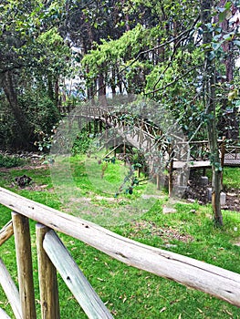 Wooden Walkway at El ParaÃ­so Park in Cuenca, Ecuador