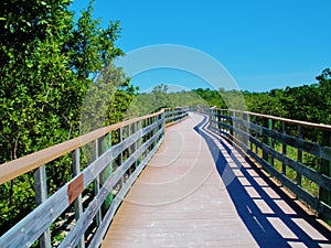 Wooden Walkway through the Everglades