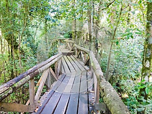 Wooden walkway in Huilo Huilo Biological Reserve, Los Rios Region, Chile