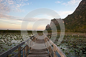 Wooden walkway through a lotus filled lake in the afternoon sky with sharp mountains in Sam Roi Yot