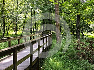 Wooden Walkway in Mammoth Cave National Park