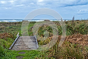A wooden walkway through a marsh leads to the beach on the Pacific coast near Yachats, Oregon, USA