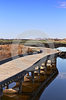 Natural landscape of a small wetland photo