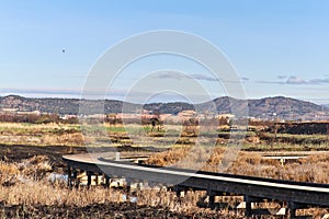 Natural landscape of a small wetland photo