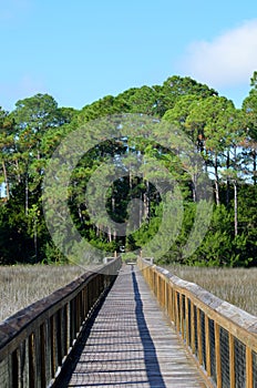 Wooden walkway over marshy land