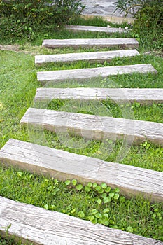 Wooden walkway in the park lawn