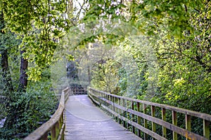 Wooden walkway for pedestrians in Pontevedra, Galicia (Spain