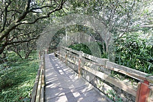 Wooden walkway on qingyuanshan mountain, adobe rgb