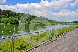 A wooden walkway by the river at Punggol Waterway photo