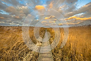 Wooden walkway through tidal marsh