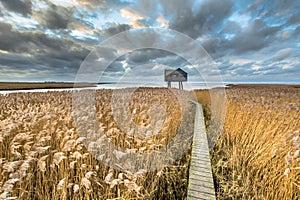 Wooden walkway through tidal marsh