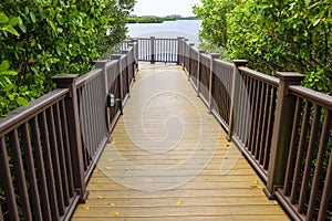 Wooden walkway to Tampa Bay Waters, Florida