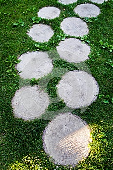 Wooden walkway of tree stumps on green grass in park