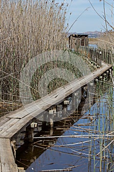 Wooden walkway and waterfowl observatory photo