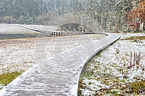 Wooden walkway in winter