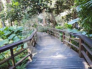 Wooden walkway, wooden pallet in the countryside.