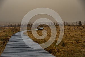 Wooden walkways lead through the moorland in the nature reserve `High Fens` in Belgium