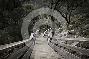 Wooden walkways of Paiva river at Arouca Geopark photo