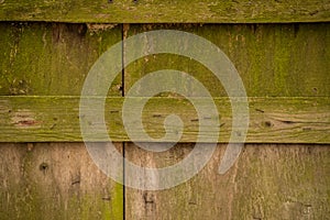 Wooden wall with board overgrow moss photo