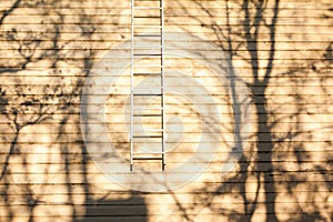 The wooden wall of a country house with stairs. Bright shadows of trees on the wall of wooden house