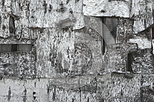 Wooden wall covered with birchbark. Black and white texture of birch bark photo