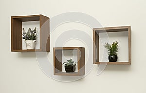 Wooden wall shelves and plant pot inside set of three