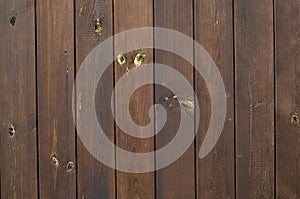 Wooden wall structure detail