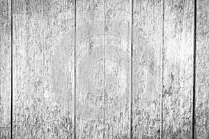 Wooden wall texture in black and white rustic background.