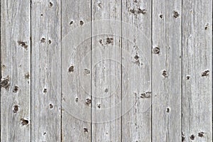 Wooden wall texture