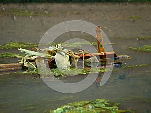 Wooden wastage flowing on river water, Nature Pollution concept