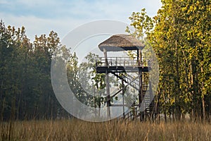 wooden watchtower for forest guards and park rangers for monitoring and save wild animals illegal activities trees cutting