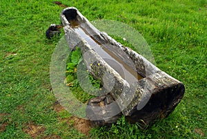 Wooden water trough, Bieszczady Mountains, Poland