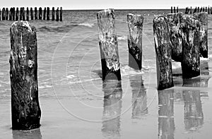 Wooden wave breakers in the sea