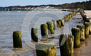 Wooden wave breakers in the sea